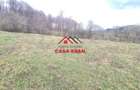 Teren extravilan Valea Doftanei 20.500 mp 6e mp - 3