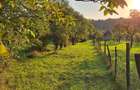 Teren cu casa si anexe - centru comuna, acte in regula - 3