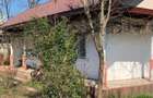 Casa 3 camere Parter Giurgiu Com Bucsani - 4