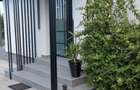 de vanzare casa parter viile satu mare - 1