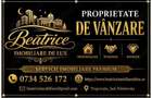 Agentia Beatrice Imobiliare de Lux - 2