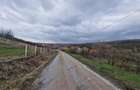 Teren Construcții de 1000 mp, în Săldăbagiu de Munte - 2