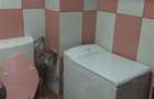 Apartament cu 2 camere decomandat în Braytim - 12