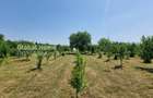 Teren Construcții de 800 mp, în Cornu de Jos (Cornu) - 5