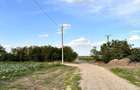 9100 mp teren Racari dambovita strada gaterului - 13
