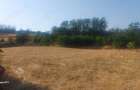 Casă cu 5 camere în Canlia - 4