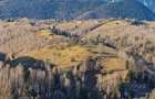 Particular, vand o proprietate absolut deosebita in Pestera - Bran - 3
