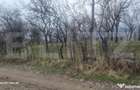 TEREN INTRAVILAN VEDERE PANORAMICA La 2 km de Manastirea CRA - 13