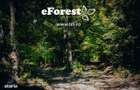 Profita acum de oferta de Pa?te! Langa padure. zona verde - eForest - 2