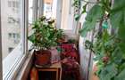 Apartament cu 3 camere decomandat în Doamna Ghica - 13