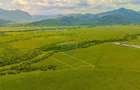 Teren extravilan de 10800 mp, în Râșnov - 5