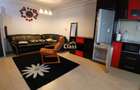 Apartament cu 2 camere semidecomandat în Baciu - 4