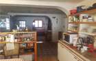 Vand urgent casa Salatrucu - 2