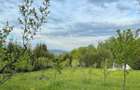 Vand teren intravilan sau schimb cu apartament in Sighet sau Baia Mare+diferenta din partea mea - 4