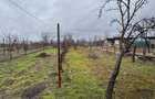 Casa de vanzare zona Sacadat - 10