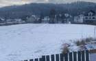 Teren Frasin 6000 m2 - 7
