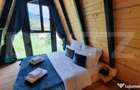 Oportunitate-cabana de vanzare, 4 camere, 75 mp, 34,5 ari te - 12
