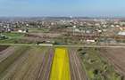 Teren 10.000 mp, parcelabil, ideal ansamblu case P+1 | Gulia - Dambovita - 1