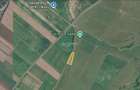 Teren de investiție în zona Tohanul Nou - Bran  5.800 mp - 19