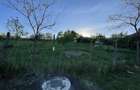 6.000 mp intravilan sat Avintu - 4