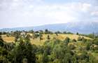 Comision0% Investitie turistica unica - Bran Sohodol 10131mp-Via Transilvanica - 15