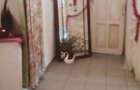 Casă cu 5 camere în Central - 5