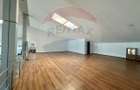 Hala/Showroom 1400mp Calea Moldovei - 9