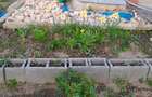 Vând teren intravilan în comuna Peștera, județul Constanța - 2