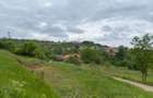 Teren intravilan 867 mp Paleu, zona str. Padurii zona Oncea - 5