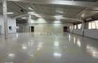 Hala industriala, 620 mp, Carcea, zona Ford