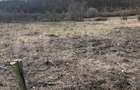 Teren intravilan de vanzare, 9783 mp, Paleu zona Iacului - 5