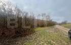 Teren extravilan, 4 hectare, langa livada de mere Ghinda - 5