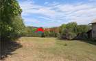 TEREN INTRAVILAN DE VANZARE IN POIANA CAMPINA | 3.526 M - 12