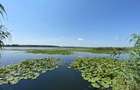 Teren intravilan 17 m deschidere Lac Silistea Snagovului 5000mp - 3