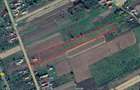 Teren INTRAVILAN 10000 mp Baiculesti DN7C/A1 Curtea de Arges - 1
