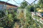 Casă individuală Plopi, 75 mp, teren 1.365 mp, 2 corpuri