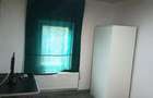 Cabana la pre? de apartament in Babana Arges - 3