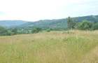 Laschia, 6 ha teren - Laschia (Maramures) - 1