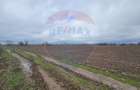 Parcel de teren casa de vanzare Giurgiu Primaria Adunatii-Copaceni - 1