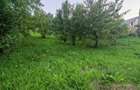 Teren 1.342 mp, Str. Pietrisului, Poiana Campina (Prahova) - 2