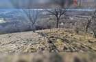 Teren de exceptie 3,1 ha intravilan | Panorama, utilitati, acces dublu | Sardu - 5