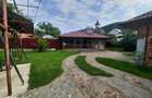 Casa 7 camere Alexandru cel bun (Jud. Neamt) , 340 metri Cod:158919 - 8