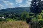 De vanzare: Teren 1000 mp intravilan in Bunesti - Malureni, Arges - 2