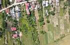 Teren 2500 mp de vanzare Tancabesti