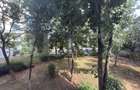Apartament 2 camere, 51 mp, zona Vest - 11