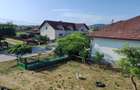 De vanzare casa in Baia De Cris-Brad - 17