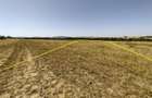 Nicolint, 2 Terenuri Extravilane, Arabil, 1.45 Hectare - 6