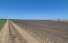GRADISTEA - Sat Sitaru, teren agricol 11.961mp, ideal investitie - 7