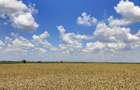 Teren agricol Comuna Suseni, sat Cersani, jud. ARGES - 3