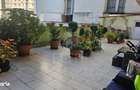 Apartament 2 camere in zona MARASTI CENTRAL - 15